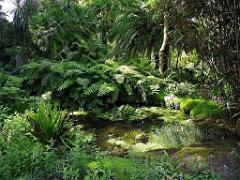 131 Ile de Batz Jardin Georges Delaselle_000005